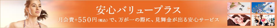 安心バリュープラス